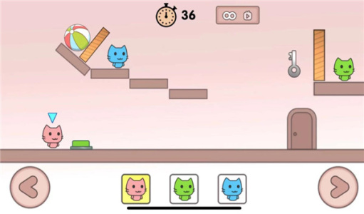 萌猫公园国际服