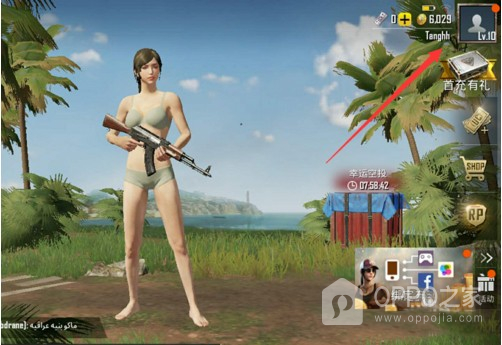 和平精英国际服官方正版