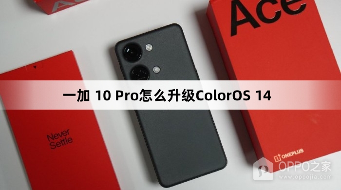 一加 10 Pro如何升级ColorOS 14