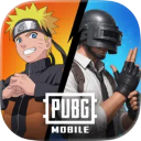 PUBG国际服官方正版