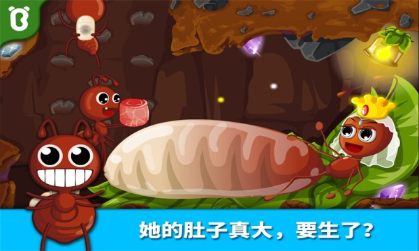 宝宝认蚂蚁app