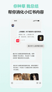 点点app
