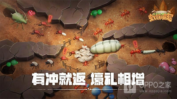 蚁族崛起华为版