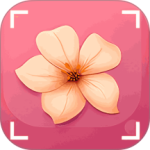 识花君app