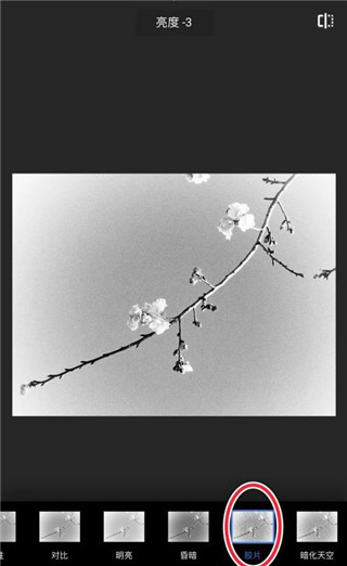 Snapseed官方正版