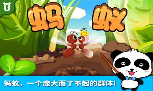 宝宝认蚂蚁app