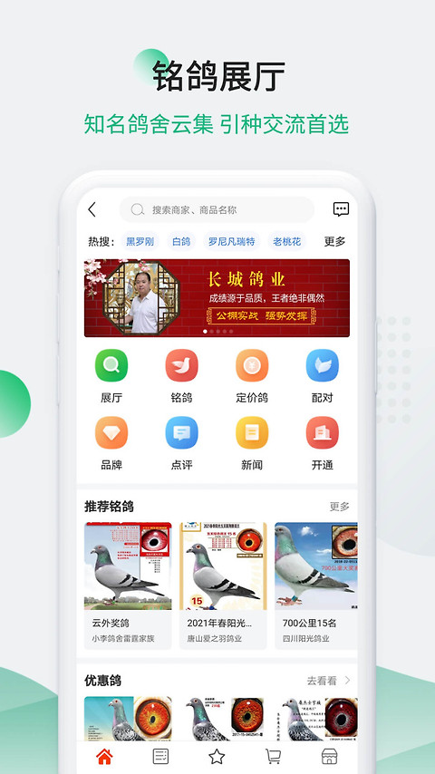 中国信鸽信息网app