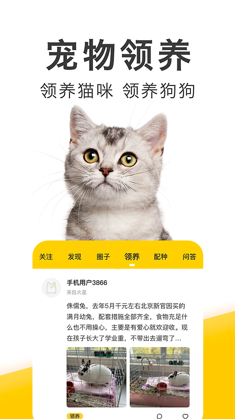 有只宠物app