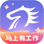 百城招聘