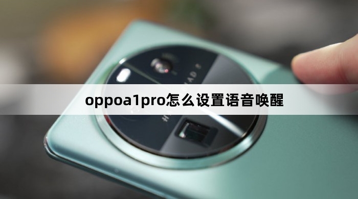 oppoa1pro设置语音唤醒教程
