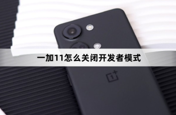 一加11如何关闭开发者模式