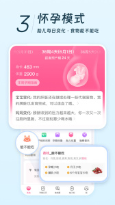 美柚app