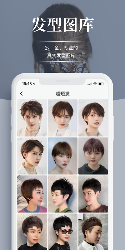 波波网app