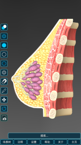 人体解剖学图集app