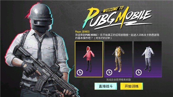 和平精英国际服官方正版