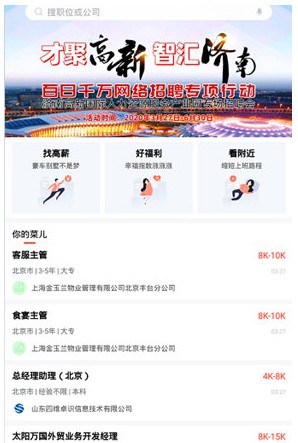 齐鲁人才app官方版