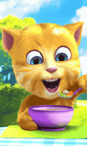 会说话的金杰猫2app