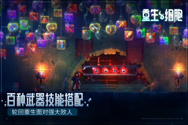 重生细胞腾讯版