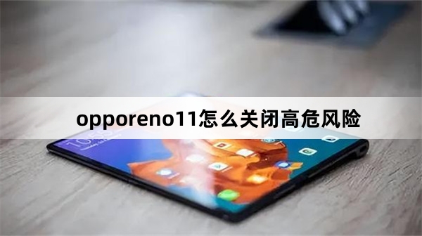 opporeno11如何关闭高危风险
