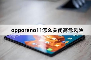 opporeno11如何关闭高危风险