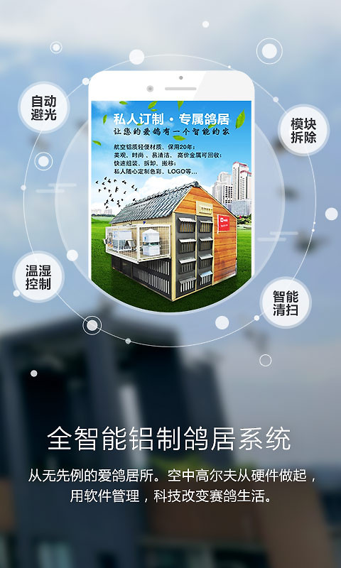 爱鸽者官方版
