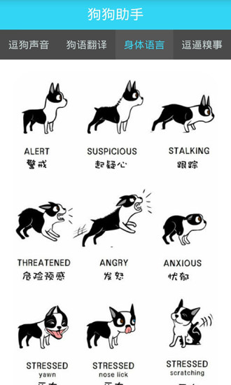 狗狗助手app