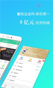 全民养牛安卓版