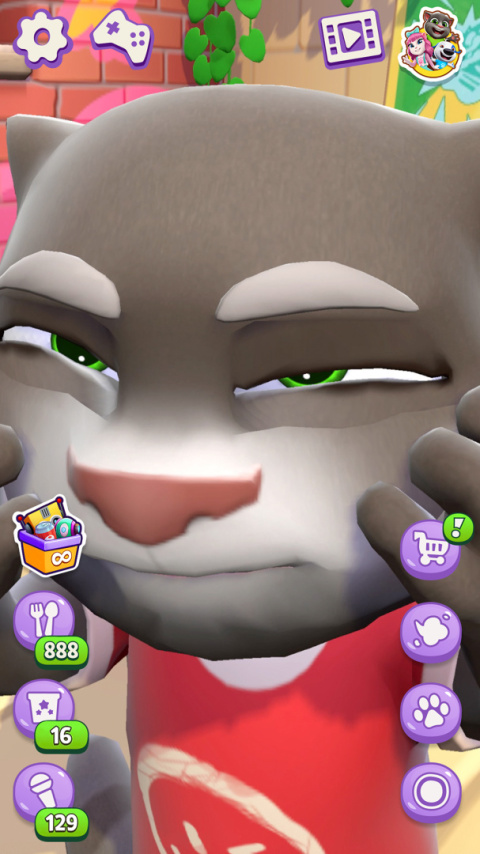 会说话的汤姆猫单机版