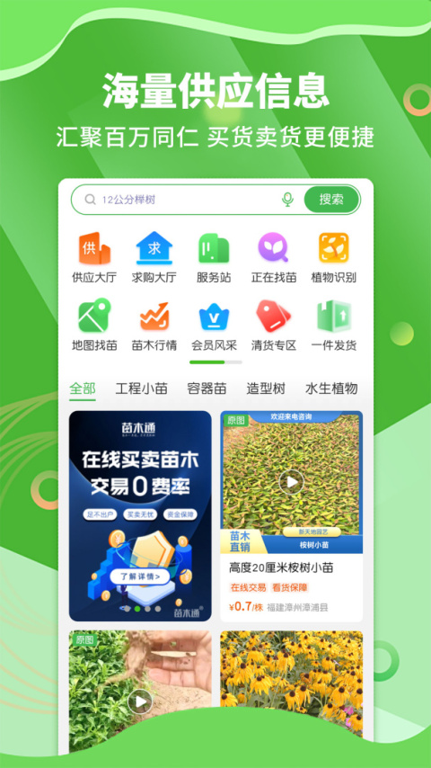 苗木通app