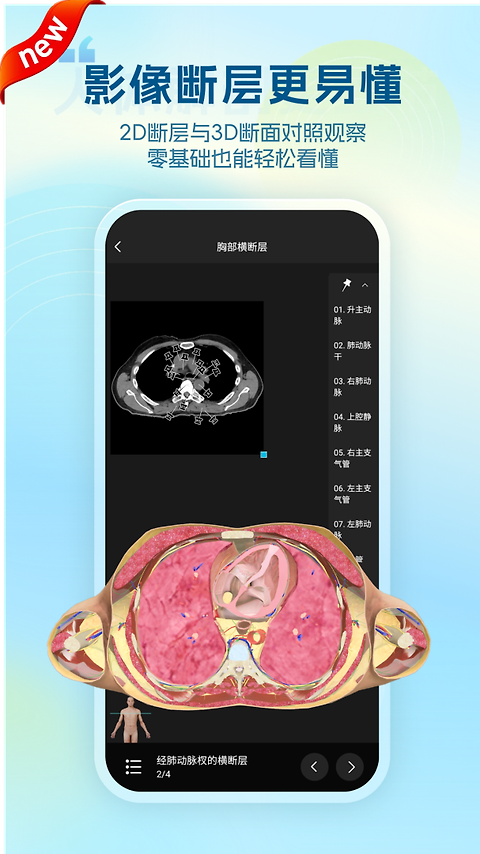 维萨里3D解剖app