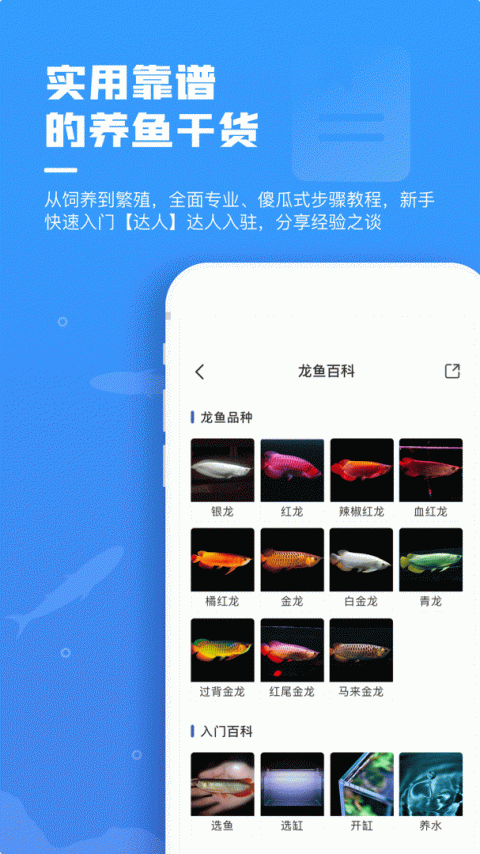 鲲天下养鱼app