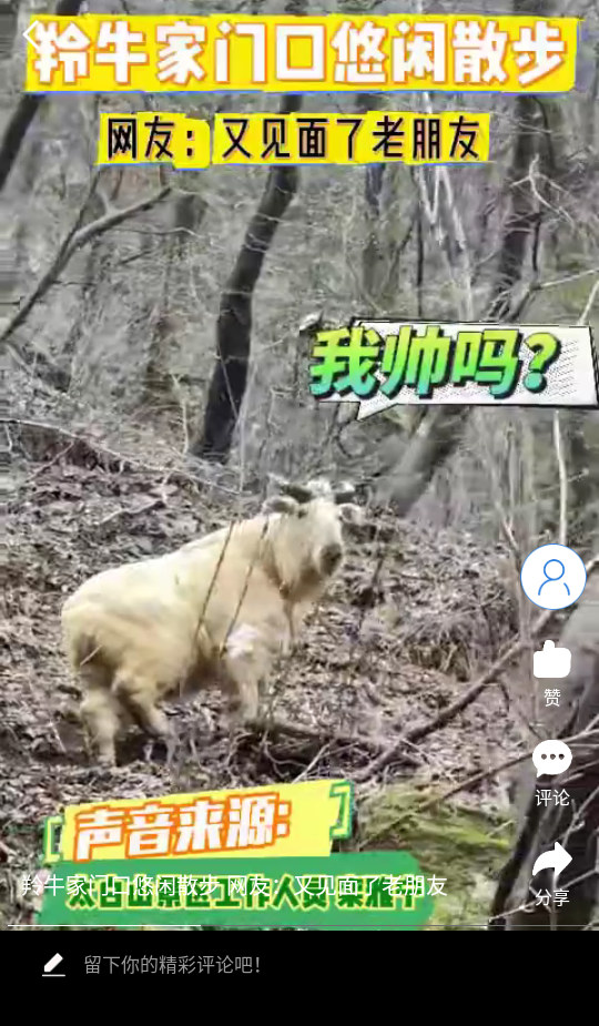 宝鸡一点通app