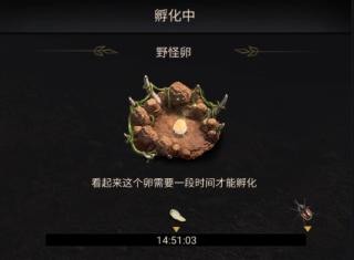 小小蚁国国际服