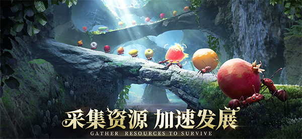 小小蚁国国际服