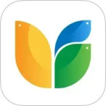 三只鸟云课堂app