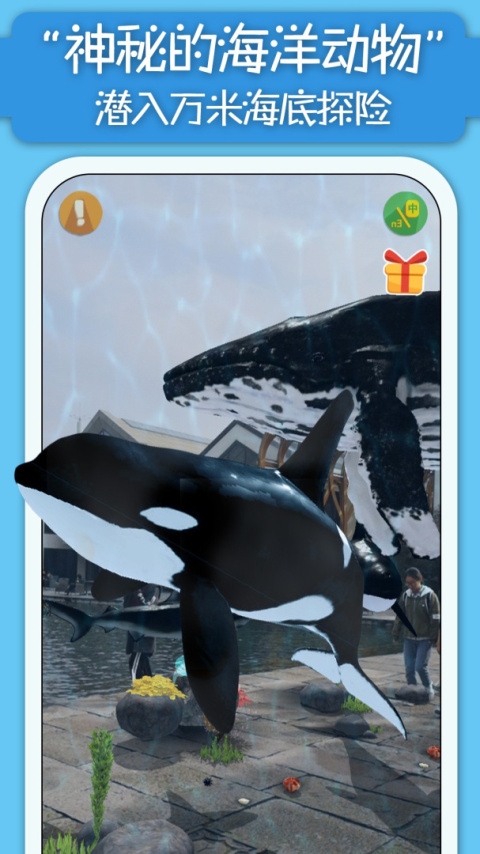 猫小智动物园AR手机版