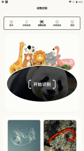 有机菜市场安卓版