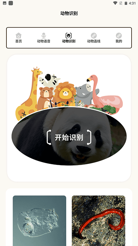 有机菜市场官方正版