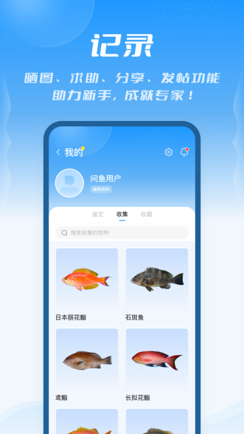 问鱼app