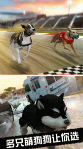 我的萌宠世界官方正版