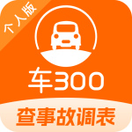 车300二手车app