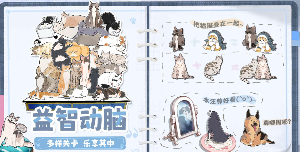 挤在一起的猫猫