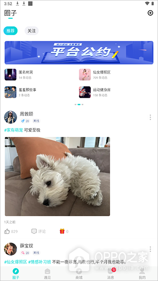 知味社区app