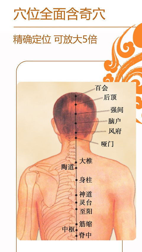 经络养生app
