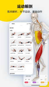 3Dbody解剖app