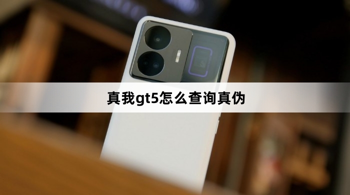 真我gt5怎如何查询真伪