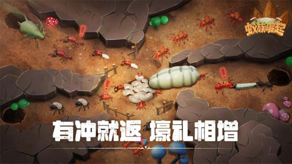 蚁族崛起oppo版