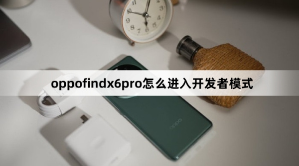 oppofindx6pro如何进入开发者模式