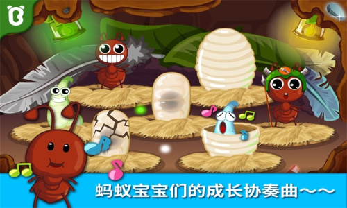 宝宝认蚂蚁app