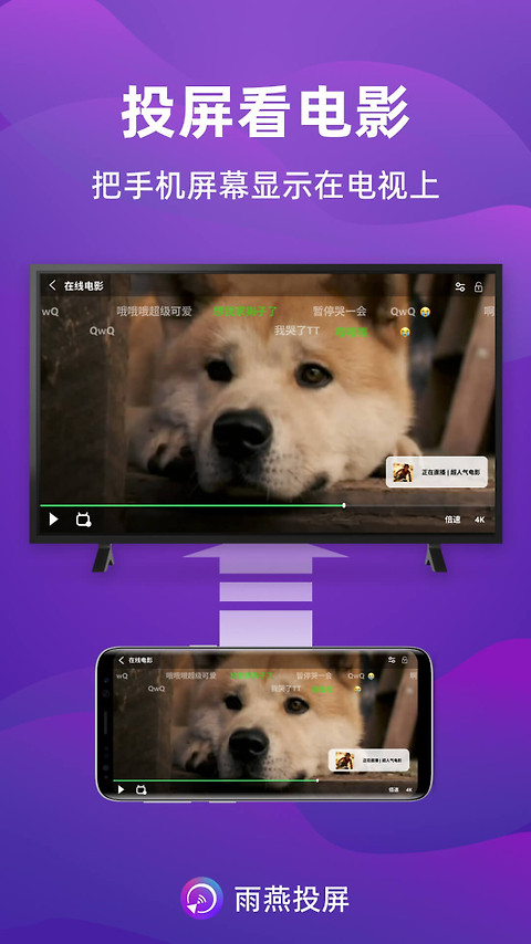 雨燕投屏app